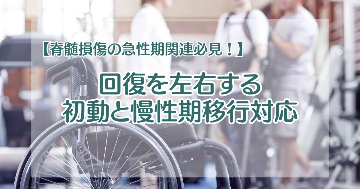 【脊髄損傷の急性期関連必見！】回復を左右する初動と慢性期移行対応