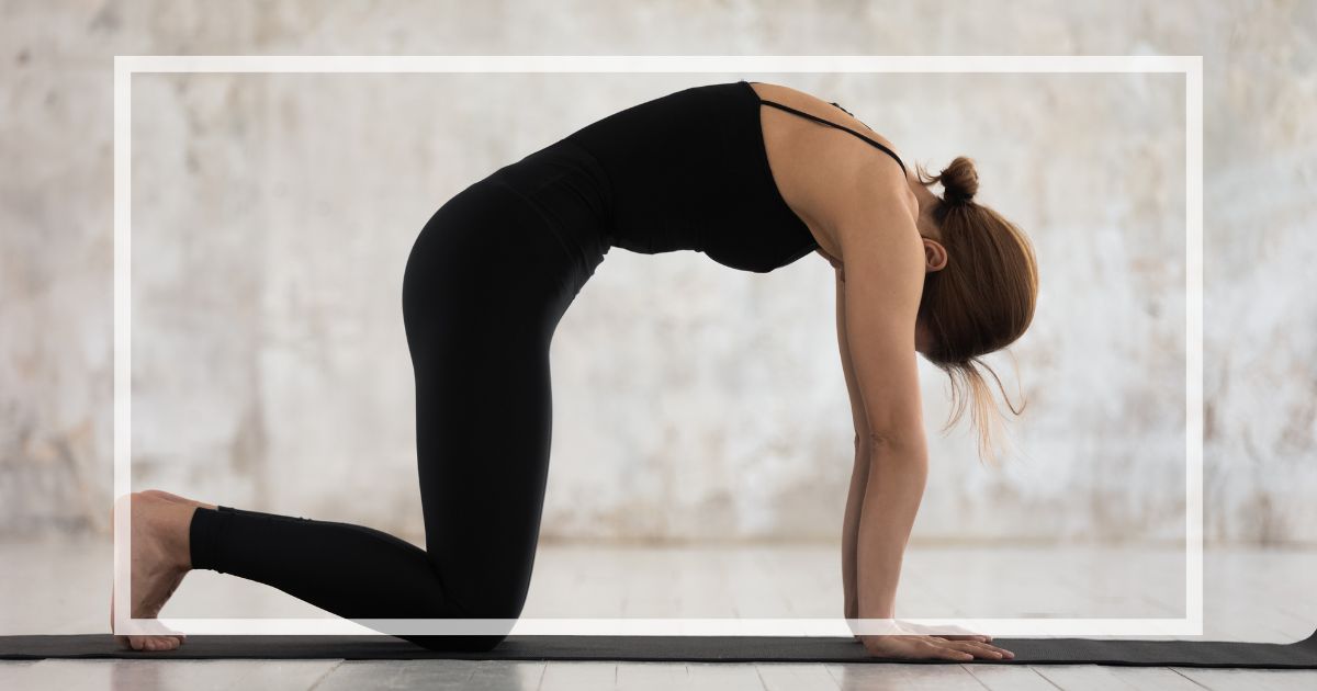 高齢者でも安全にできるストレッチ